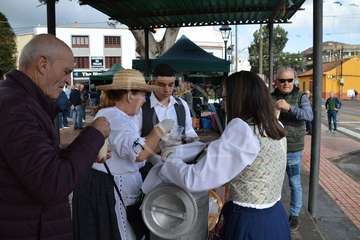 Día del Artesano y Labrador en Jinámar (Foto TA)
